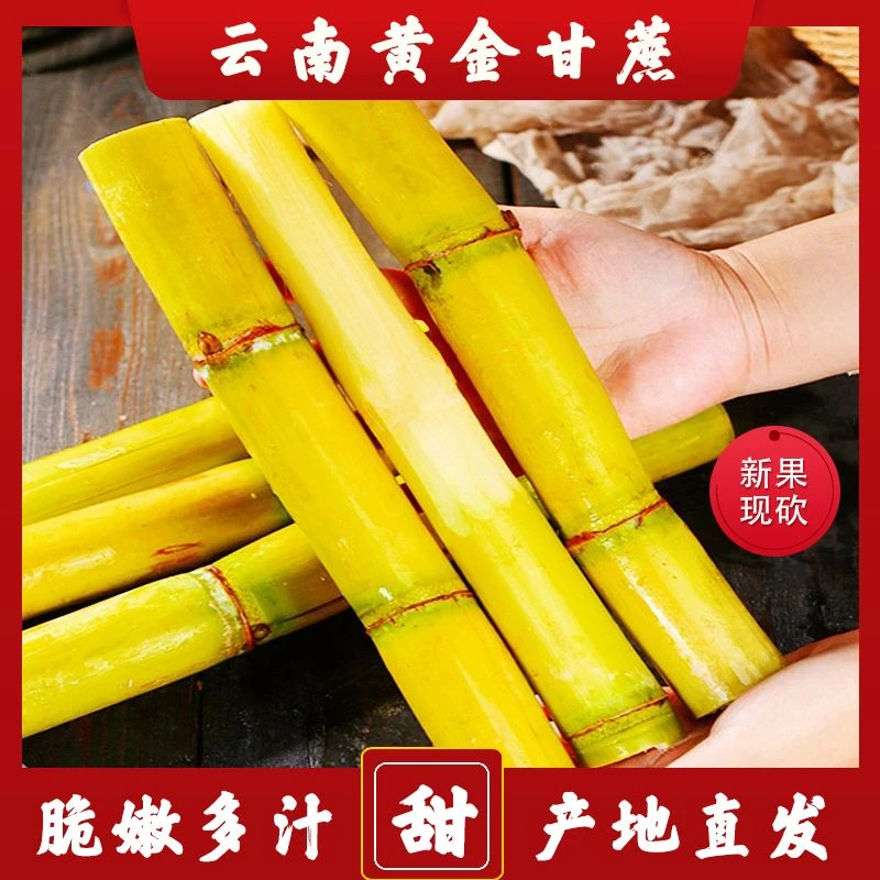 【黄金甘蔗】正宗黄皮甘蔗产地直发脆皮多汁爆甜水果