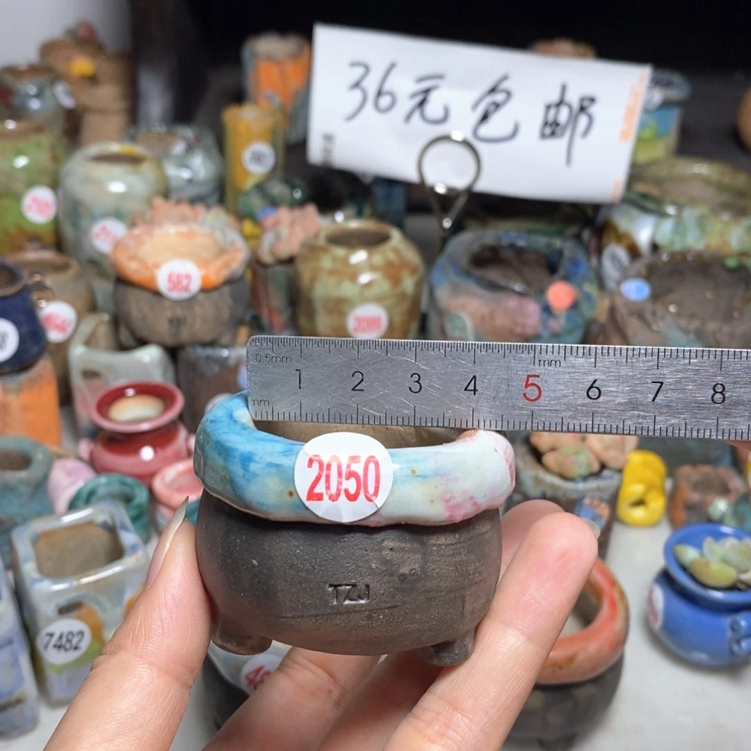 拍3送一个小礼物