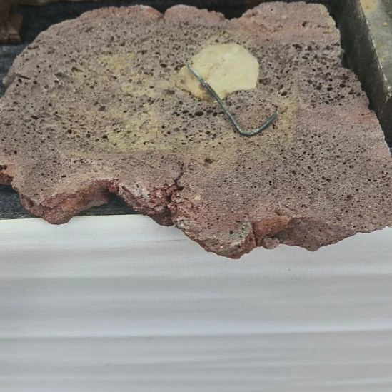无花朵火山石小花盆
