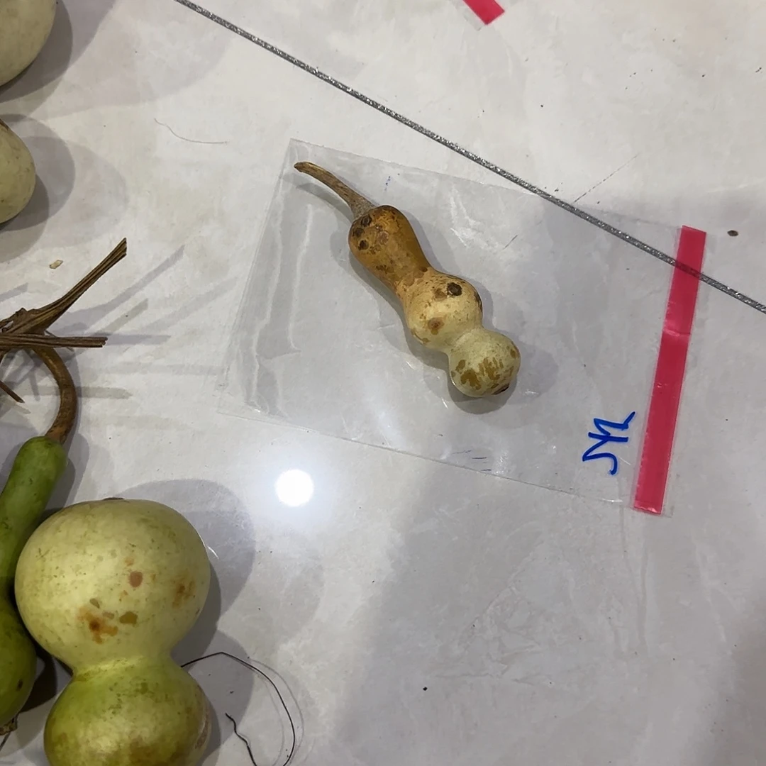 j***x青皮不包成青皮不包成