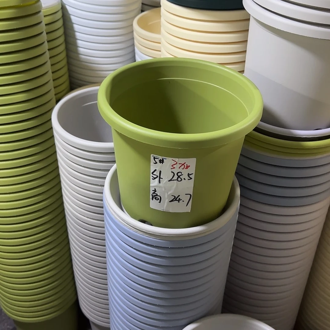 微瑕5号6个无托，果绿