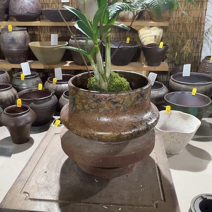 无孔高11/15花盆发v宝贝