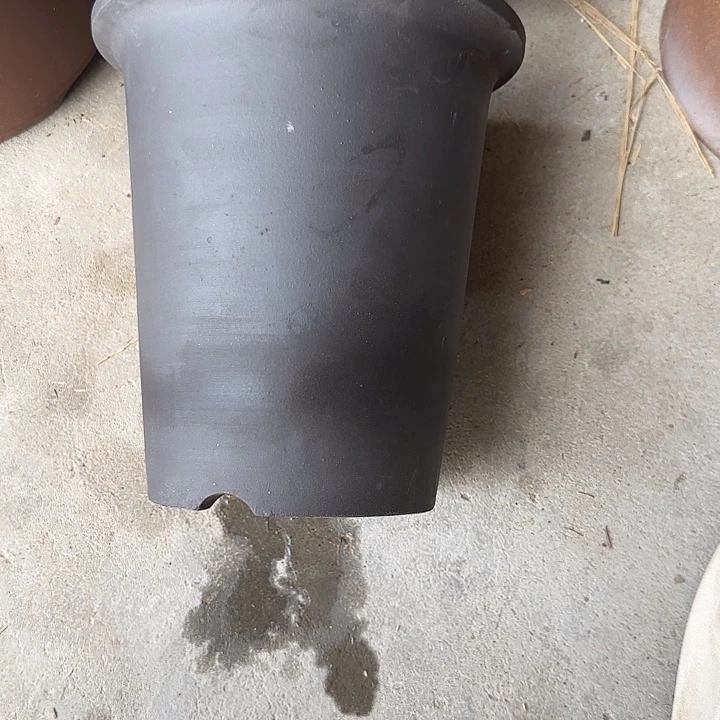 白***719×20六只定制款兰花盆特价