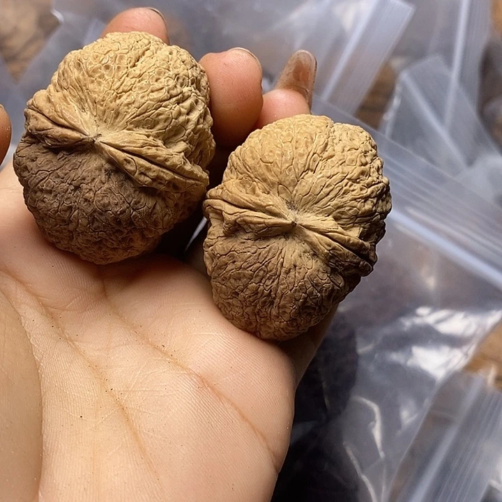 文玩核桃吊坠铁核桃粗筋寿星头43mm
