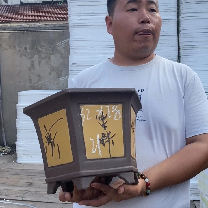 紫砂花盆盆栽花卉苗木