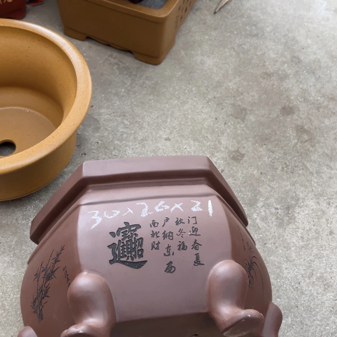 花盆紫砂盆景艺术