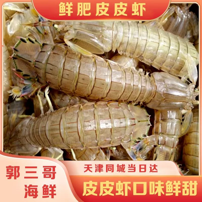 中小片皮皮虾【保鲜不保活】天津同城当日达   20多条