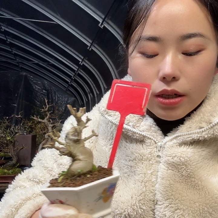 无花朵11111111111111