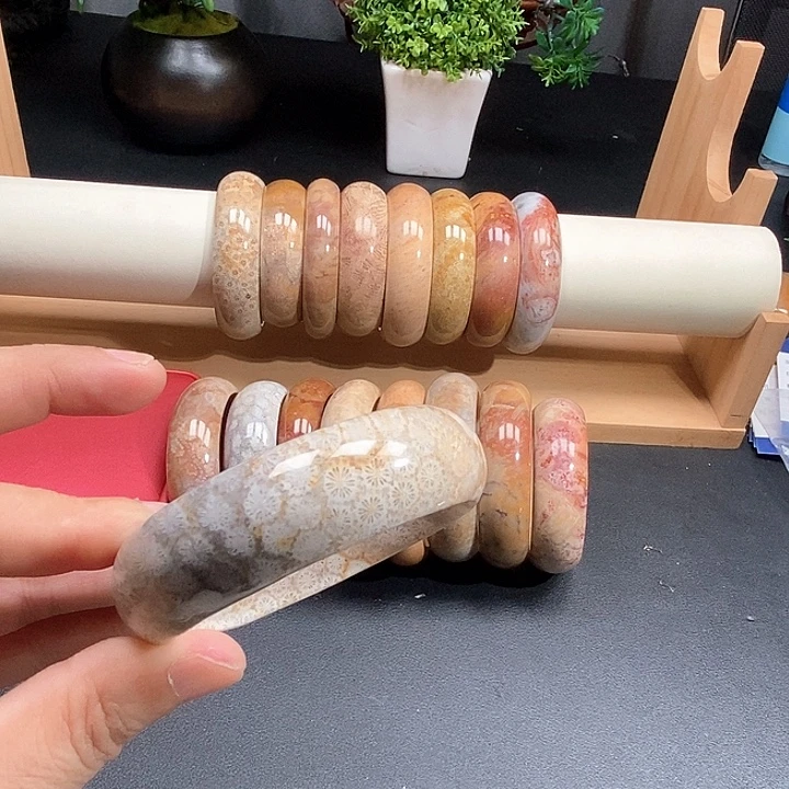 硅化珊瑚（珊瑚玉）未镶嵌颈饰