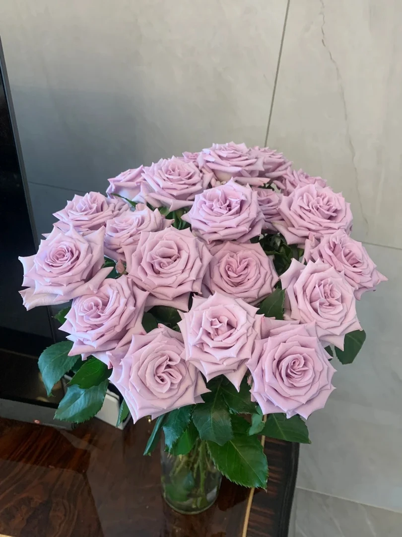 【现采现发】海洋之歌单头玫瑰基地直发-高级浪漫玄关大厅客厅