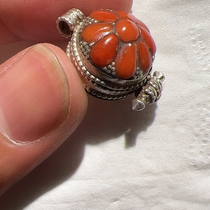 香榧木你的时候你是