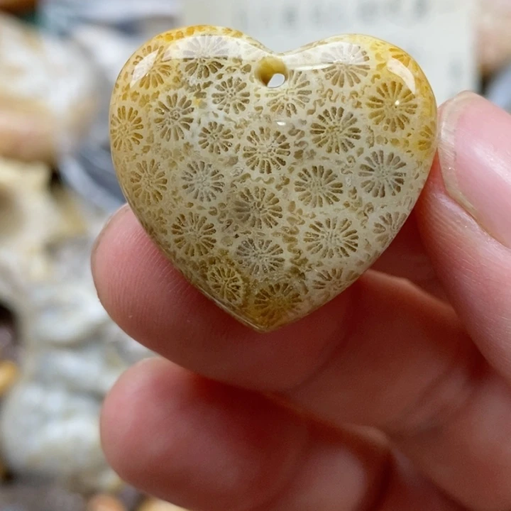 硅化珊瑚（珊瑚玉）未镶嵌颈饰