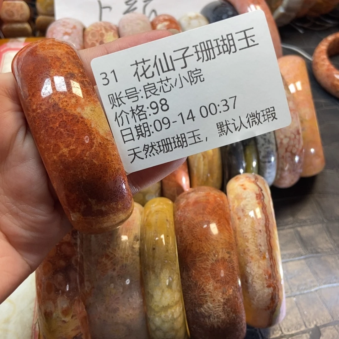良***院未镶嵌硅化珊瑚（珊瑚玉）珠宝半成品31