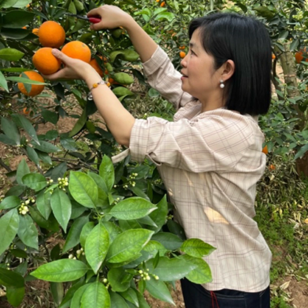 秭归伦晚 应季鲜果非冷库 无科技狠活 香甜多汁 包好吃！