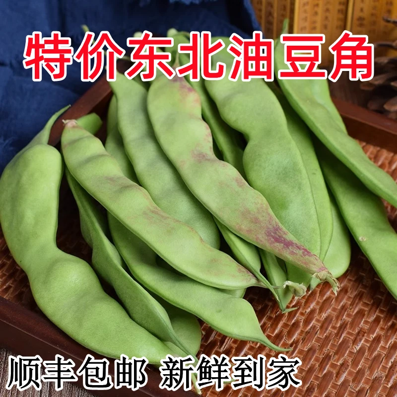 【产地直发】顺丰东北油豆角正宗新鲜蔬菜一点红油豆角辽宁九月青