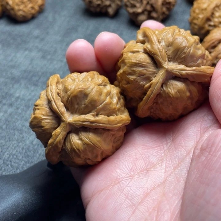 蚂***外手工三棱蛤蟆头三棱