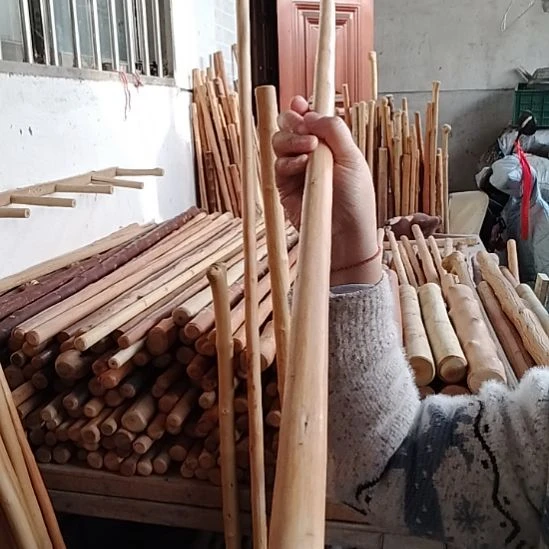 红荀子木111长一物一拍