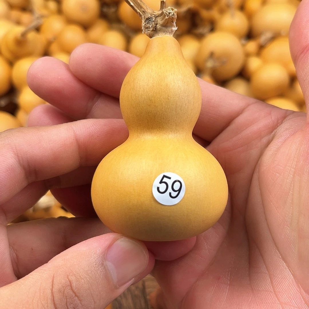一葫芦葫芦葫芦葫芦59