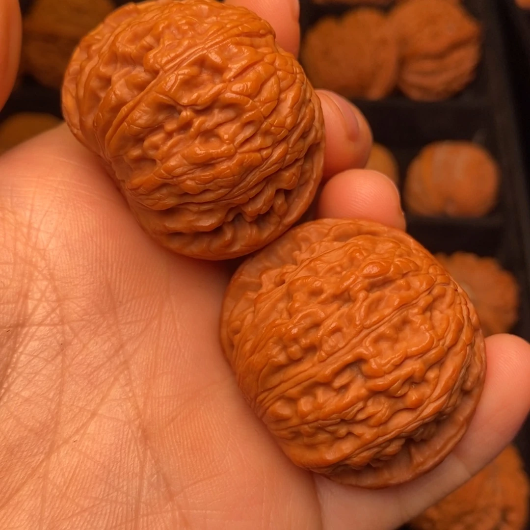 秦岭野生文玩核桃