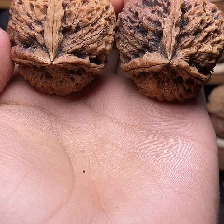 文玩核桃吊坠珊瑚纹三棱40mm