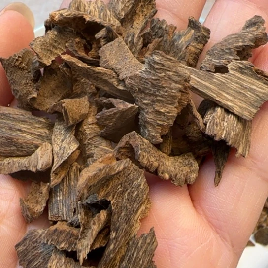 沉香摆件老海南野鸡母虫10克