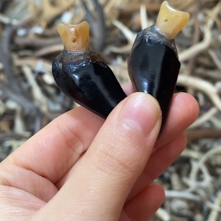 非金属鹿蹄鹿蹄鹿蹄