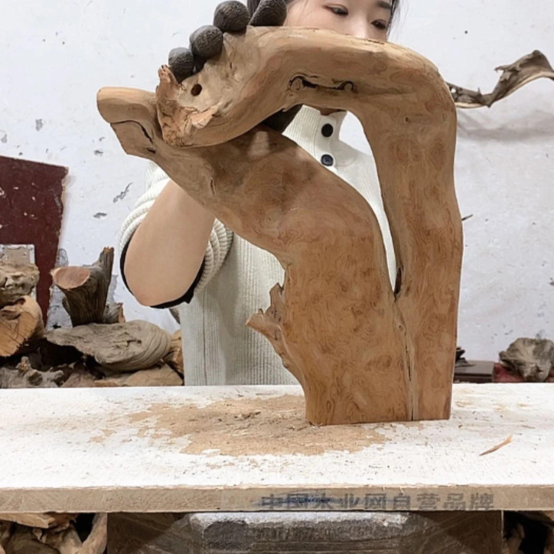 【闪购商品】柏木冬**阳我们都是好孩子