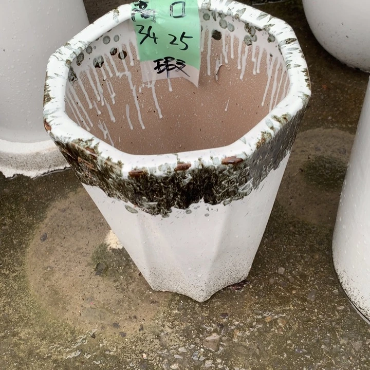 花盆里的小猫咪们快点来了吧哈