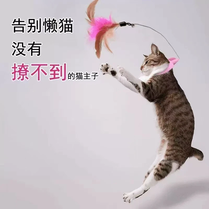 头戴式逗猫棒玩具猫咪自嗨解闷消耗体力神器自动羽毛项圈宠物用品