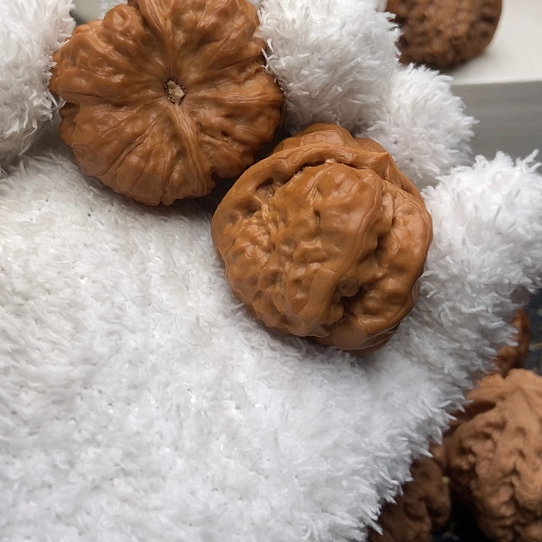 微修39尺小蛤蟆已打底