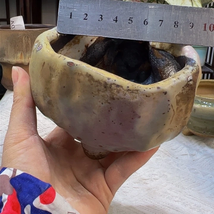 景德镇陶瓷研究所