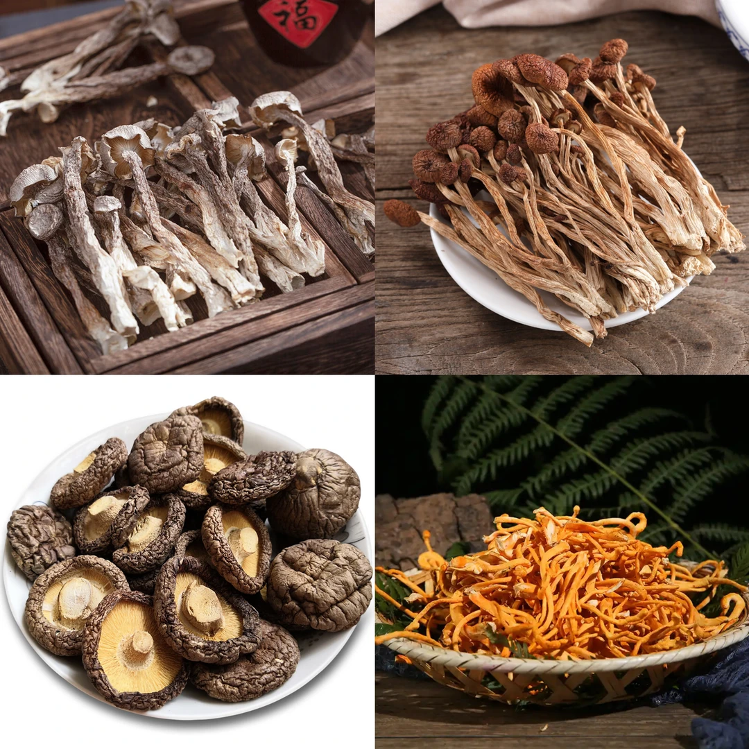 【小丸子专属】大礼包3 菌菇大礼包 1000g