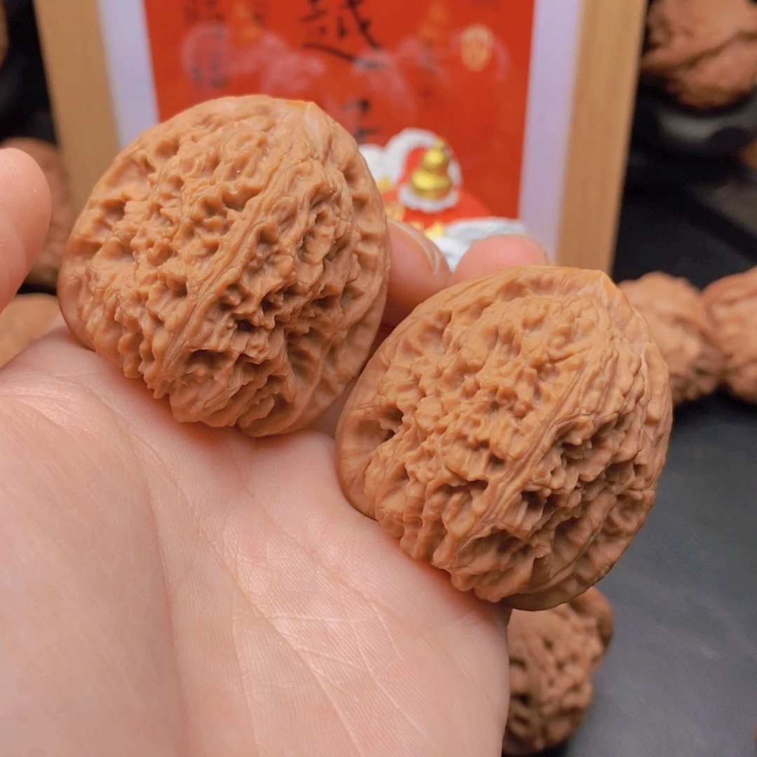 41尺炮弹南疆石老树