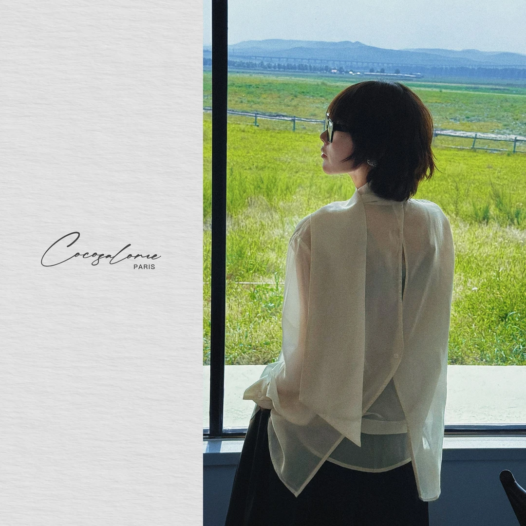 韩彬彬"白领"初秋出游领口飘带垂感抗皱高级气质通勤衬衫2205-2