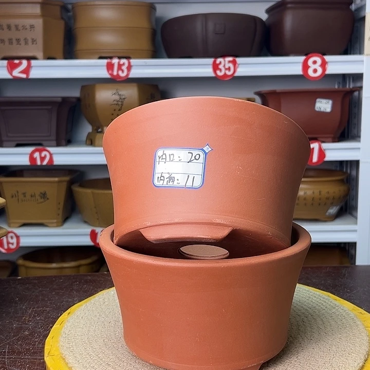 花盆紫砂蛇年大吉