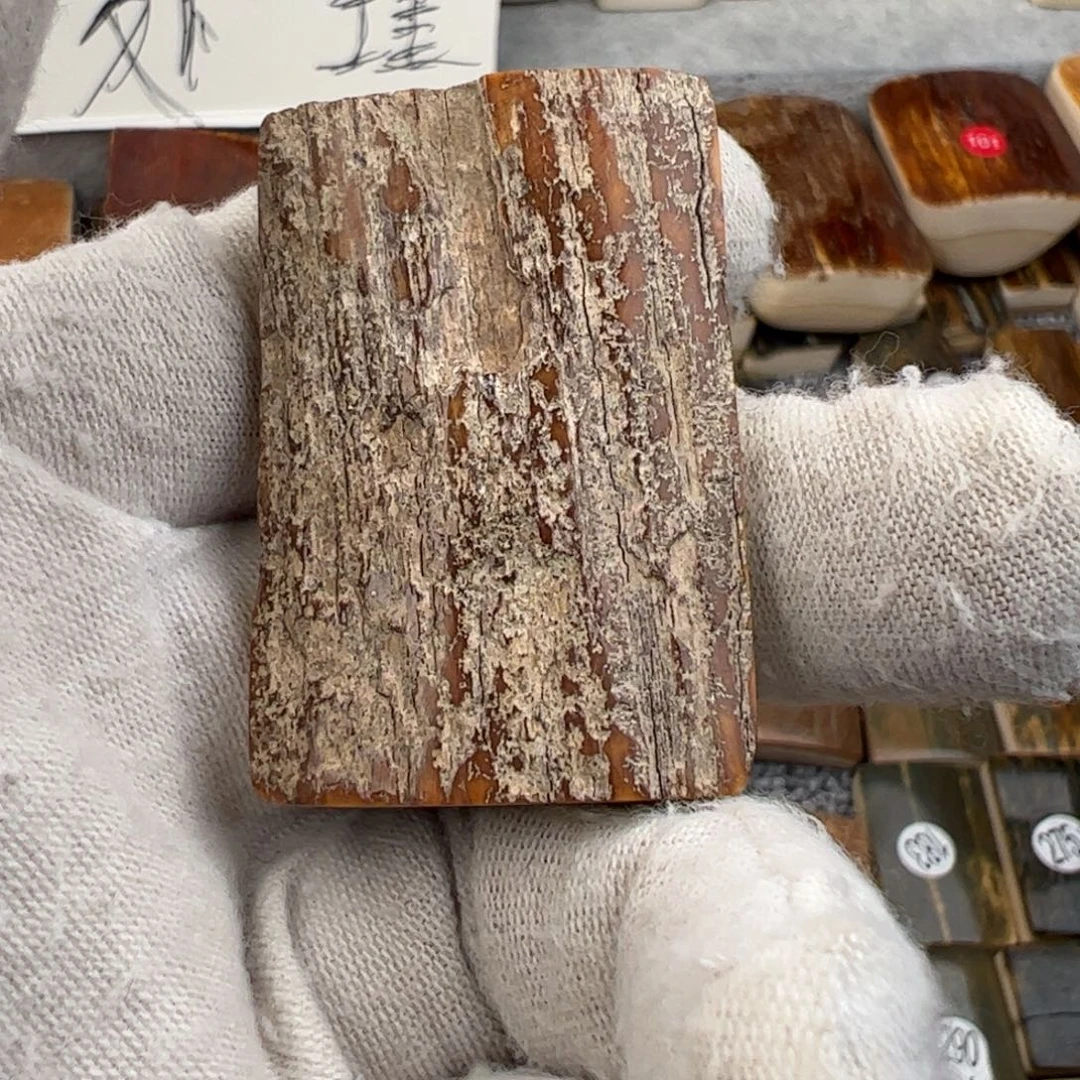 泥塑猛犸制品有限公司