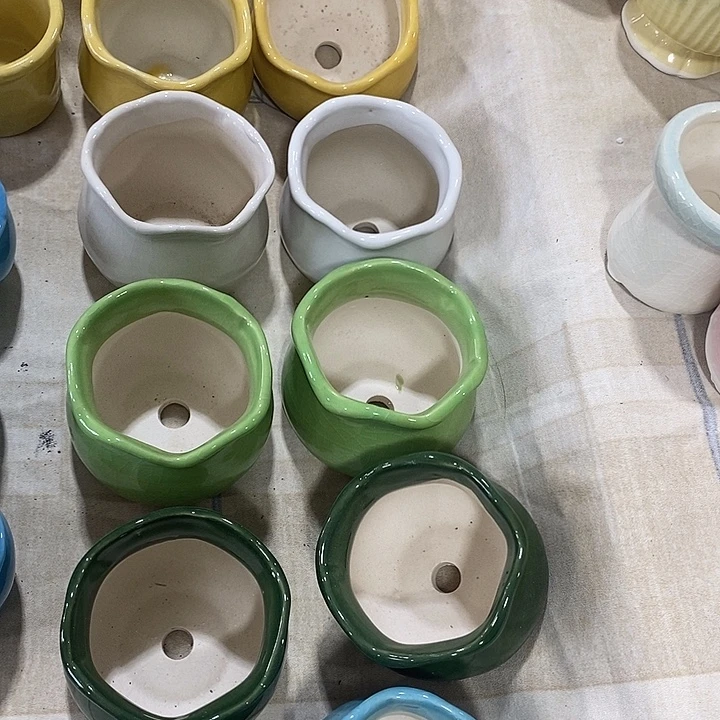 花盆抢购清货马上开始