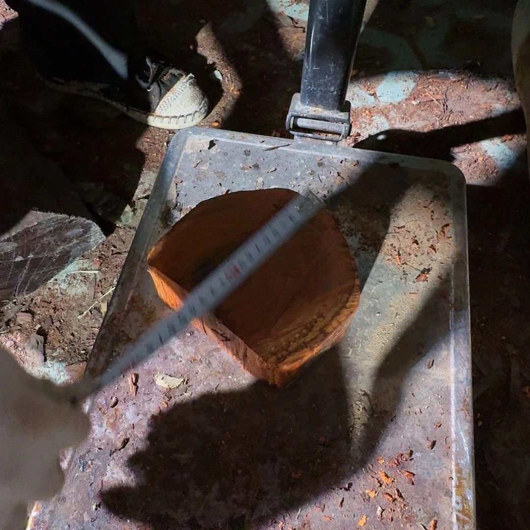 染料紫檀（血檀）299