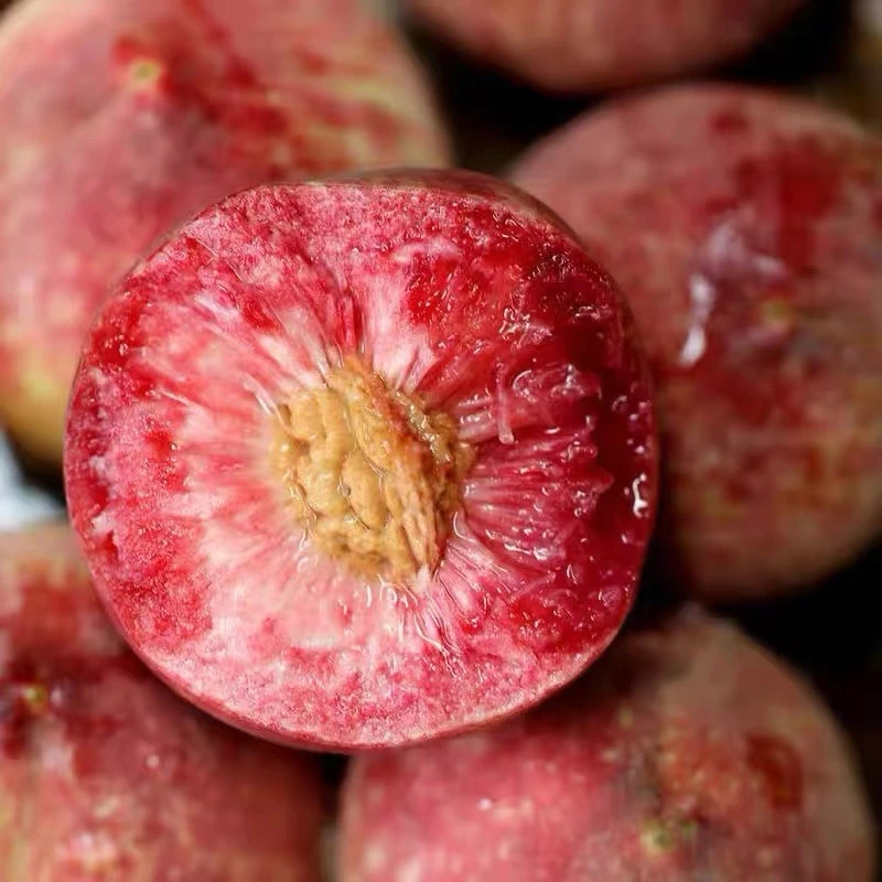 【朱砂红血桃】河南红血桃蜜桃子新鲜水果当季现摘现发