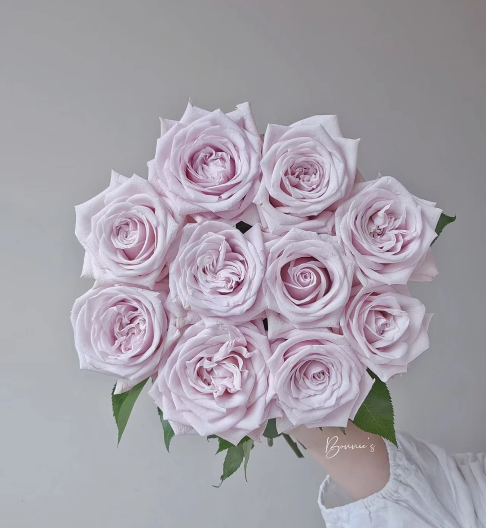 （曼）  哈雅8支+2支防损 鲜花任意满2单包邮