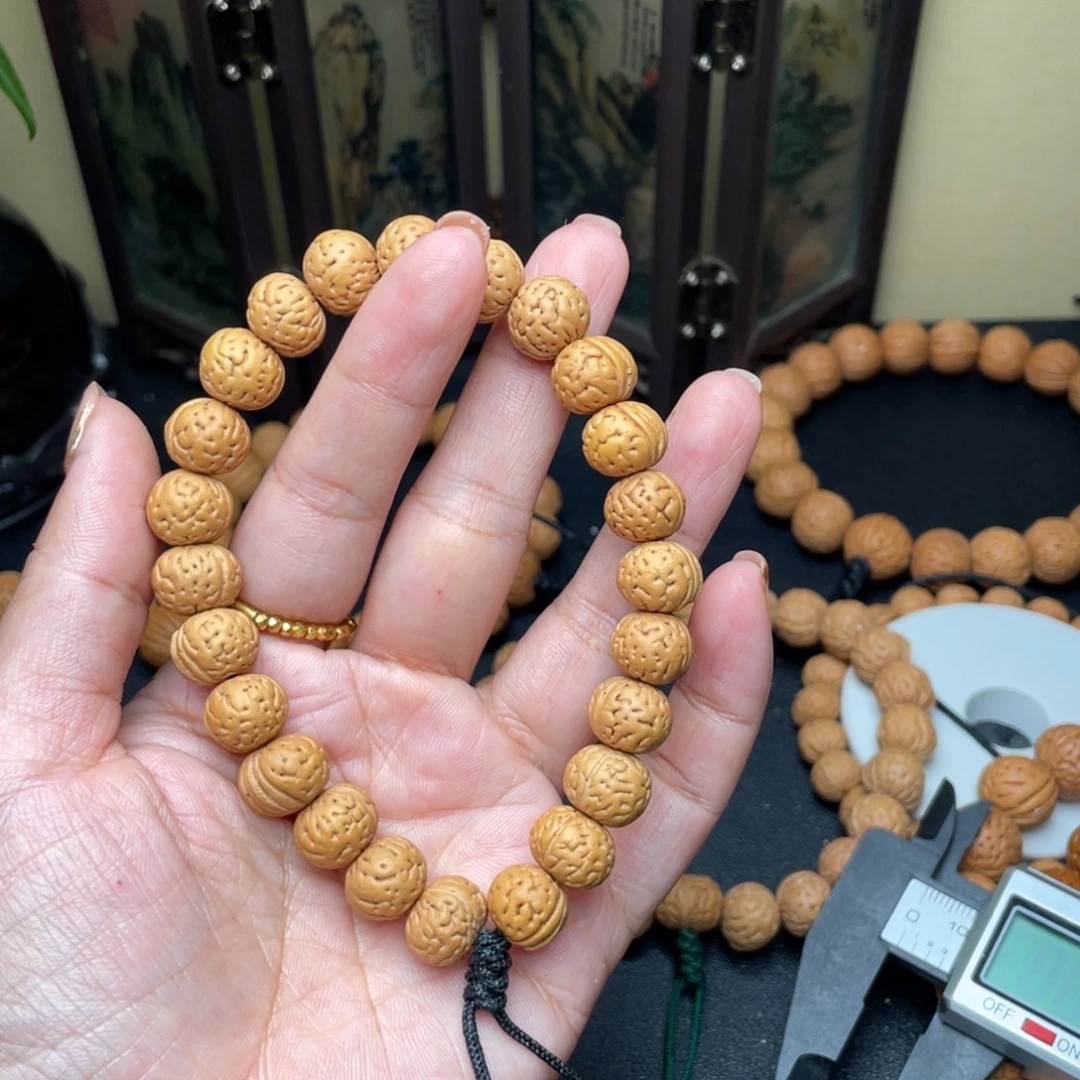 养***Z11加野生大肚矮壮