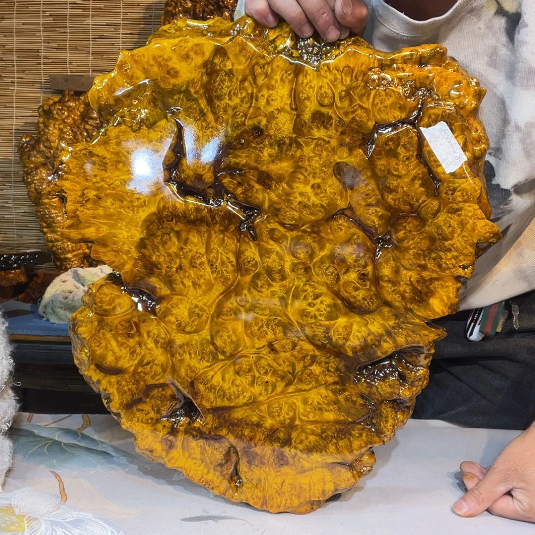 缅甸黄金樟实木干泡台