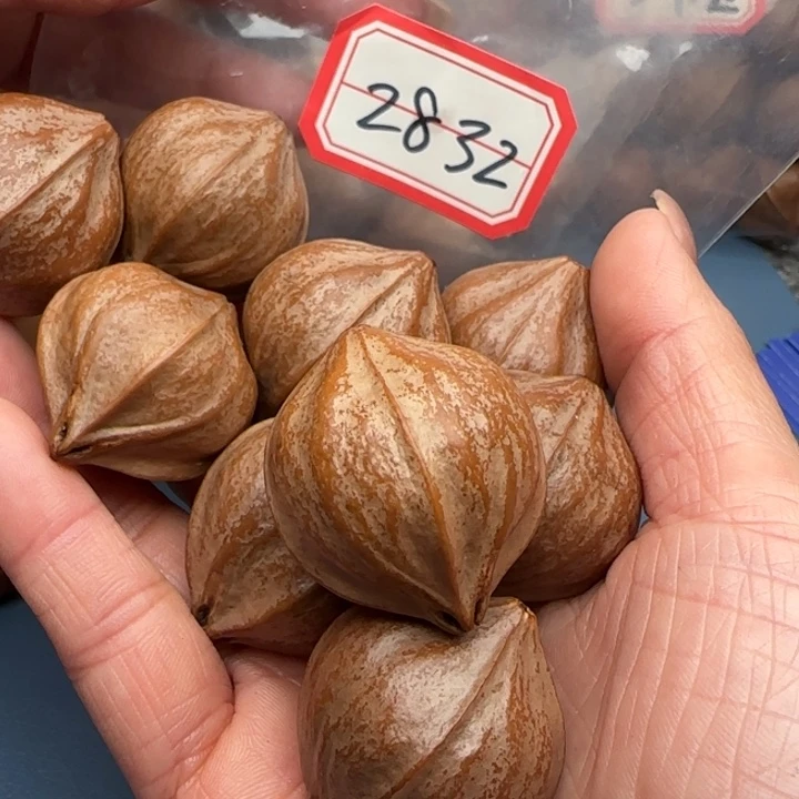 h***i手串橄榄核橄榄核