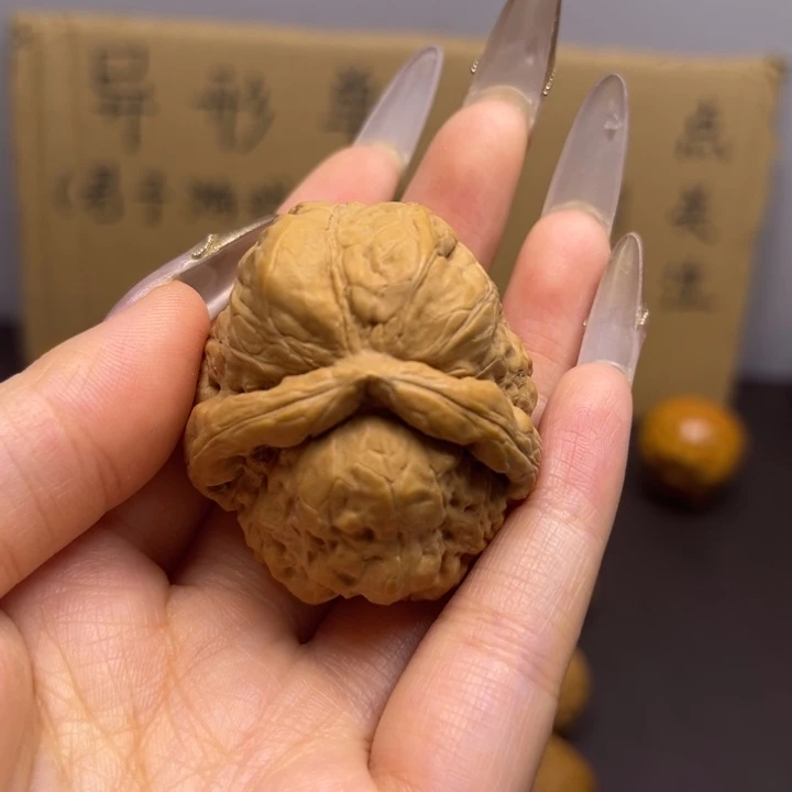 吴***密菩提籽类两棱单只异型有瑕