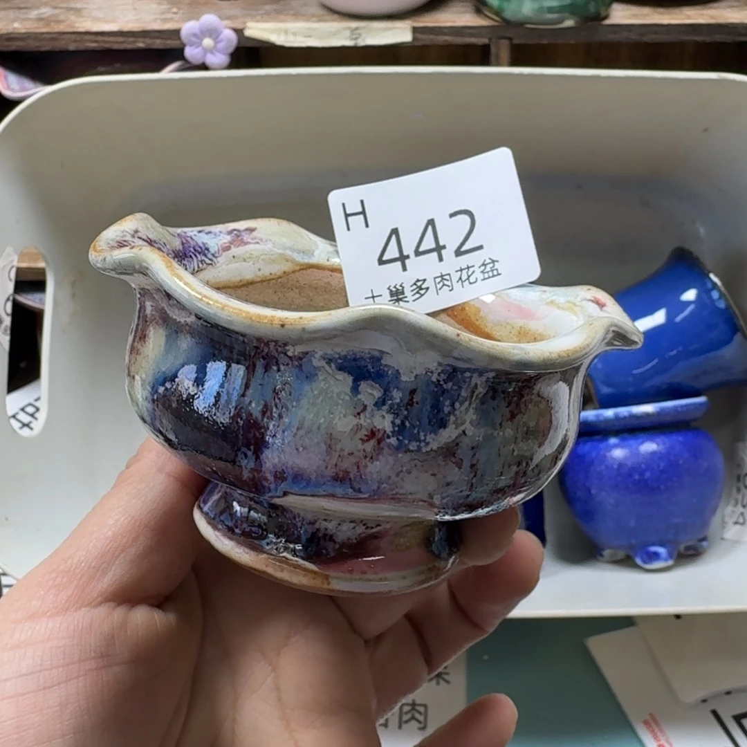 树***读陶瓷艺术设计与制作