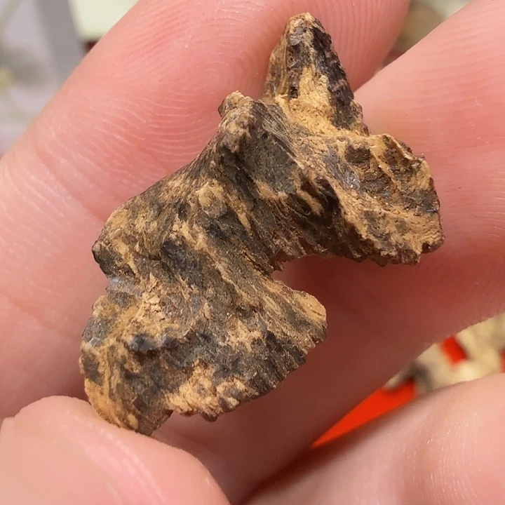 海南老香满油0.83克