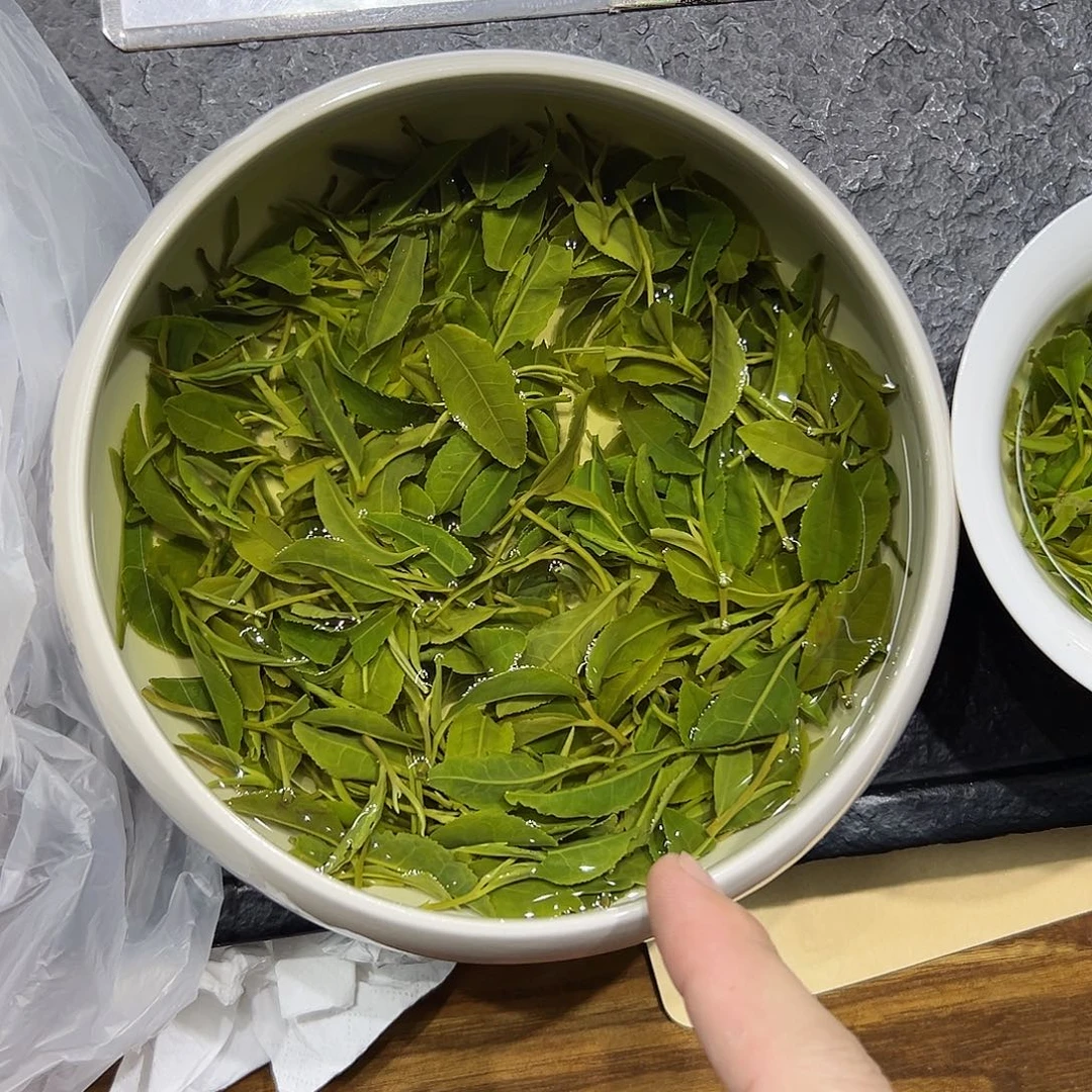 *****日照绿茶秋茶（一斤）