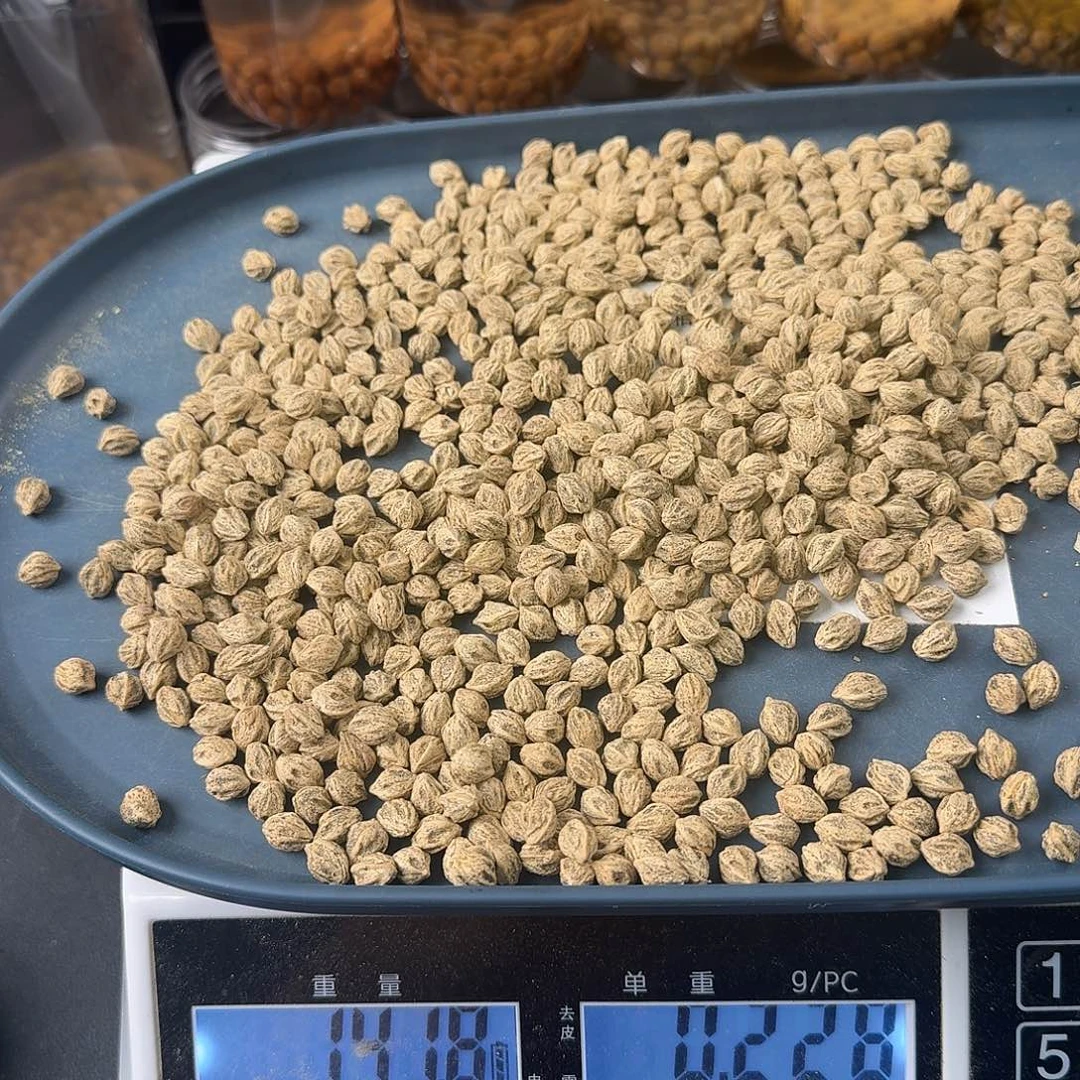 挑***看柏香籽/百香籽吊坠817号7+141克XY219