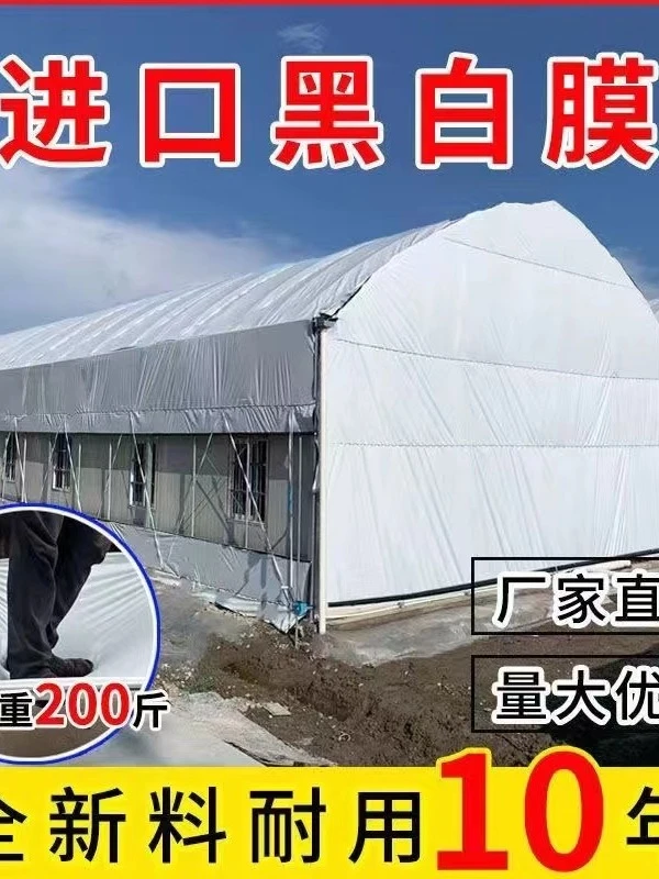 直播间专属定制黑白大棚膜