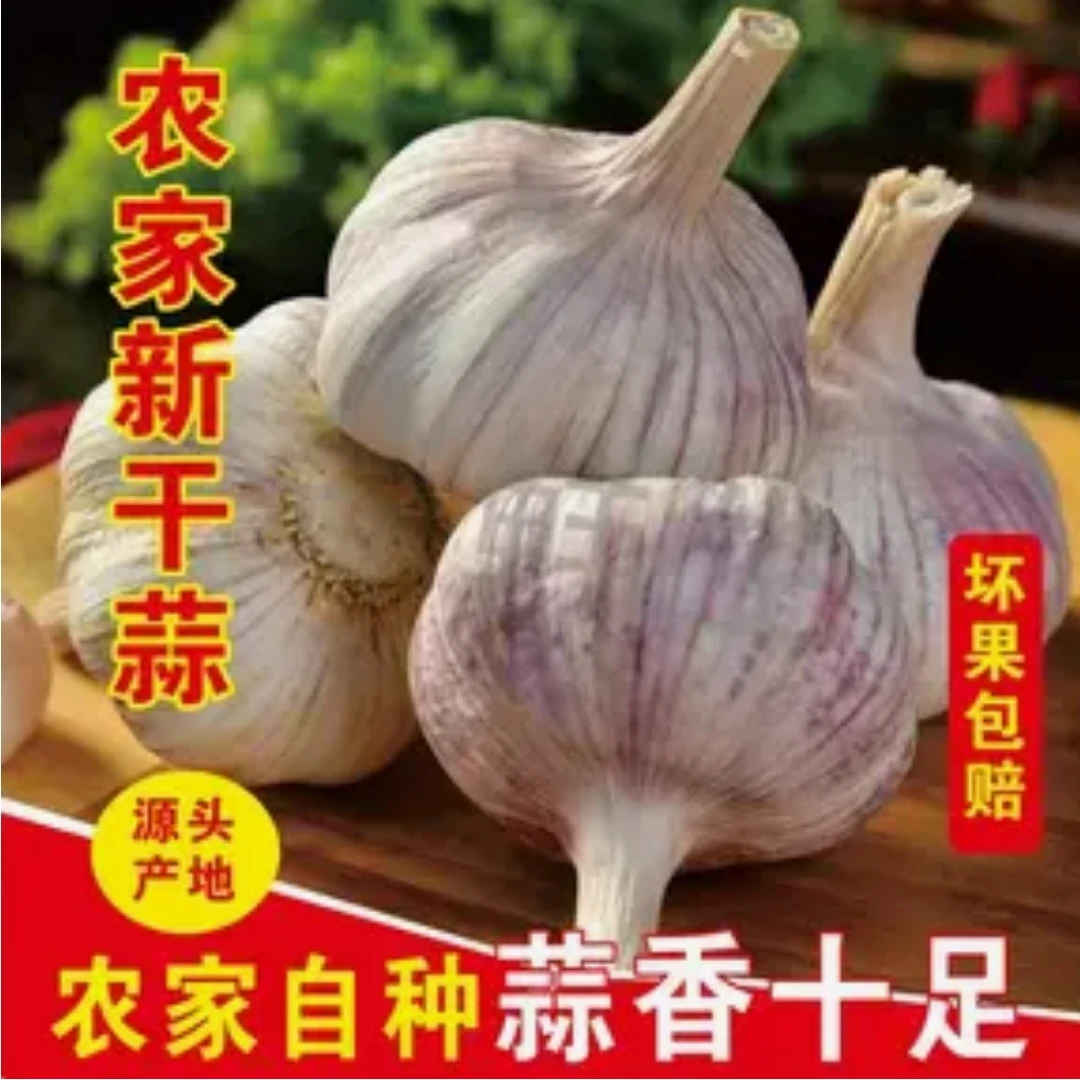 (助农特惠)2025八成农家新晒大蒜头干蒜天然晾晒优质批发  Q1